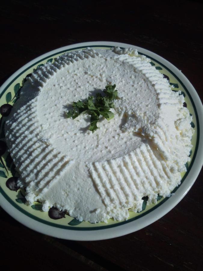 Agroturystyka Millerowka Kamionka Mala  外观 照片