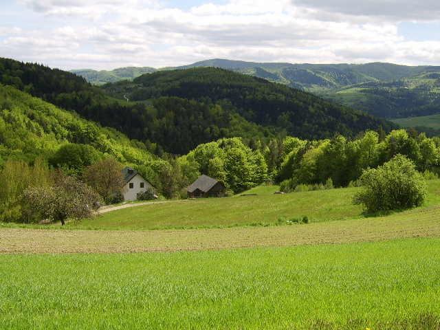 Agroturystyka Millerowka Kamionka Mala  外观 照片