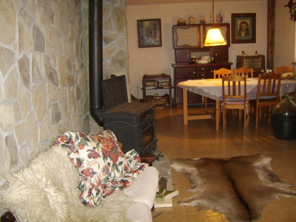 Agroturystyka Millerowka Kamionka Mala  外观 照片