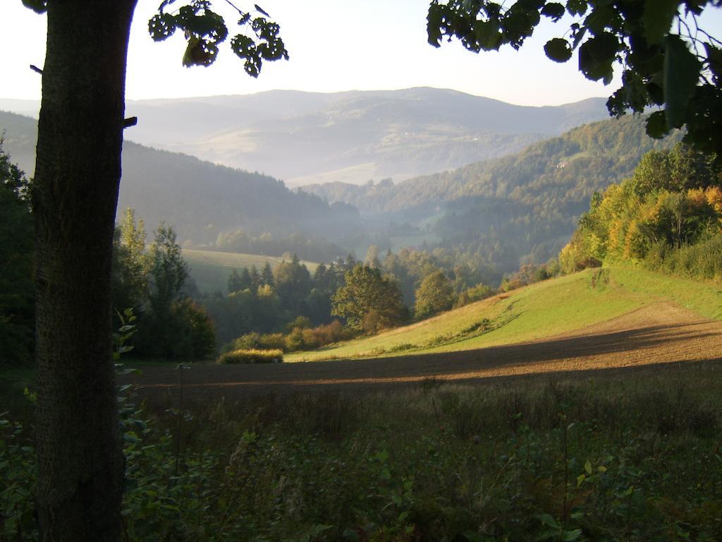 Agroturystyka Millerowka Kamionka Mala  外观 照片