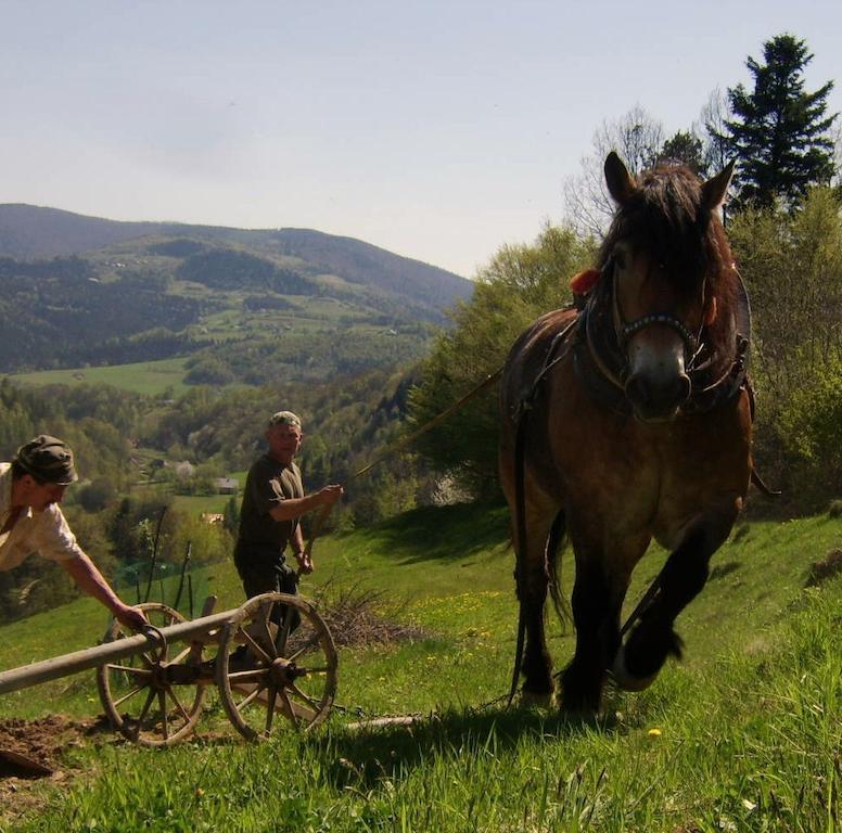 Agroturystyka Millerowka Kamionka Mala  外观 照片