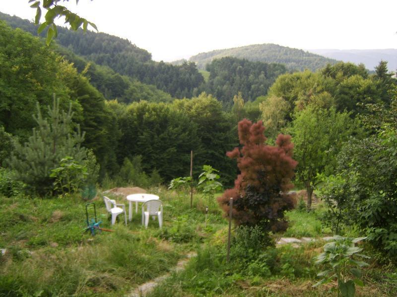 Agroturystyka Millerowka Kamionka Mala  外观 照片